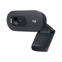 LOGITECH C505e HD Webcam BLK WW