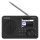 TELESTAR DIGITAL Telestar DIRA M 6i Internet Tischradio Internet DAB+ UKW Bluetooth