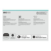 LOGITECH Brio 500 - GRAPHITE - EMEA28