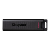 KINGSTON USB-Stick 256GB Kingston DT-Max   3.2