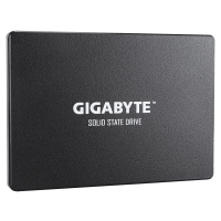 GIGABYTE GP-GSTFS31256GTND 256GB