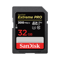 SANDISK Extreme Pro Extended Capacity 256GB SDXC 300MB/s
