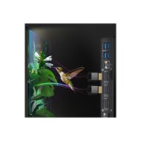 RAIDSONIC Dockingstation IcyBox DisplayLink Hybrid 12 in 1 mit Video retail