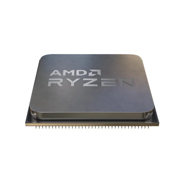 AMD Ryzen 5 5600 SAM4 Tray