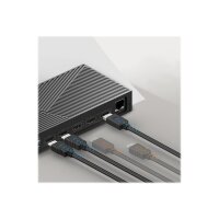 RAIDSONIC Dockingstation IcyBox Hybrid mit dreifacher Videoausgabe retail