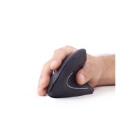 GEMBIRD Maus OPT ergonomisch wireless 6-Tasten schwarz