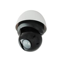 LEVEL ONE IPCam FCS-4047 PTZ30x Dome Out 4MP H.264