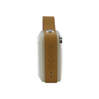 TELESTAR DIGITAL Imperial BAS 4 Mini Bluetooth-Lautsprecher mit integriertem UKW Radio