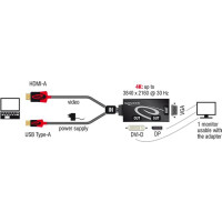 DELOCK Adapterkabel HDMI Stecker > 1 x VGA + 1