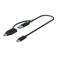 RAIDSONIC USB 3.1 (Gen 2) Type-C® zu USB Type-A und Type-C® Kabel, 35 cm (IB-CB033)