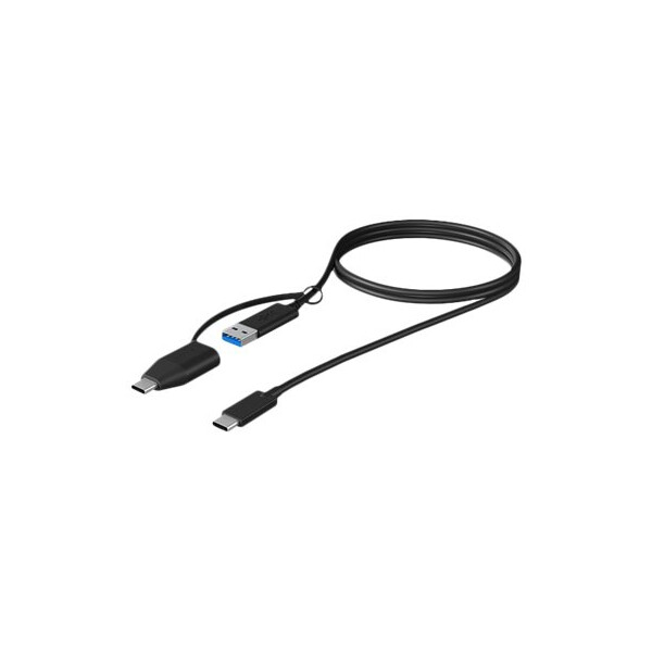 RAIDSONIC USB 3.1 (Gen 2) Type-C® zu USB Type-A und Type-C® Kabel, 100 cm, schwarz (IB-CB034)