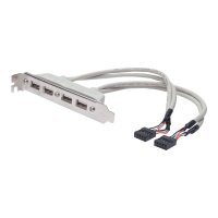ASSMANN USB Slot Bracket cable. 4x type A-2x10pin IDC F/F.