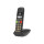 GIGASET E290 Duo schwarz schnurlos analog DECT Grosstaste 2 Mobilteile