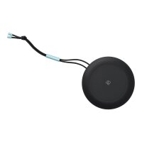 BANG & OLUFSEN B&O BeoPlay A1 2.0 Bluetooth speaker